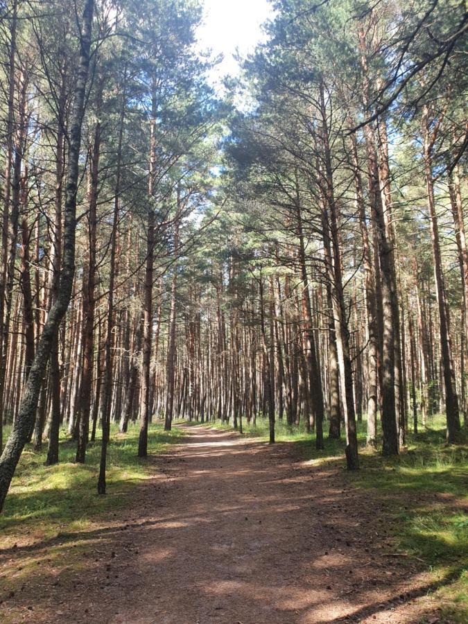 Berzelis Apartman Palanga Kültér fotó